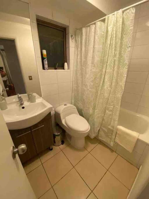 Apartament Comodo Departamento En El Centro De Stgo Santiago de Chile Zewnętrze zdjęcie