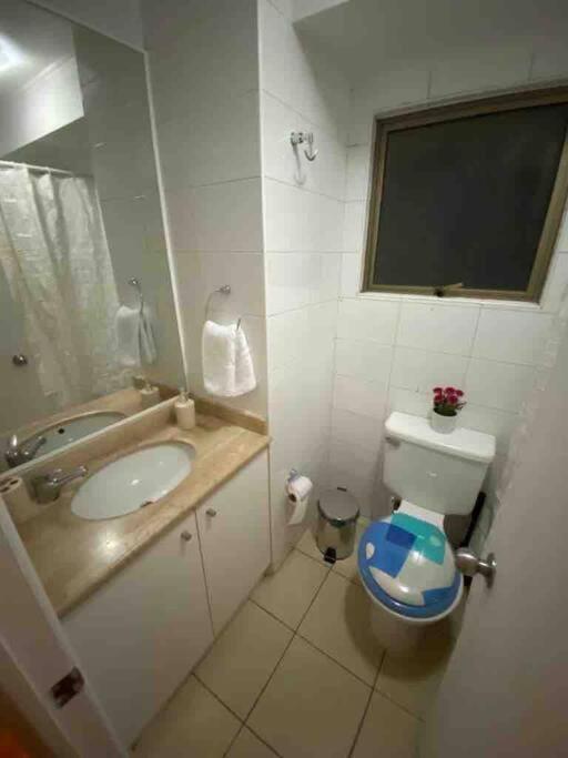 Apartament Comodo Departamento En El Centro De Stgo Santiago de Chile Zewnętrze zdjęcie