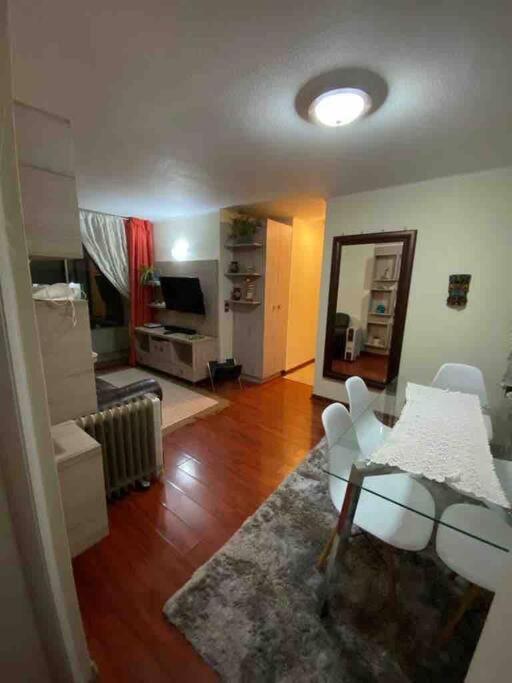 Apartament Comodo Departamento En El Centro De Stgo Santiago de Chile Zewnętrze zdjęcie
